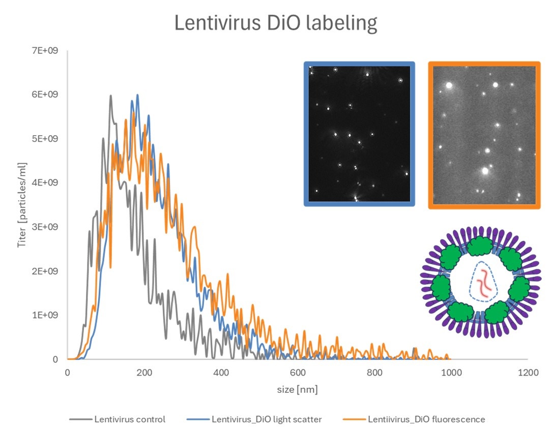 [Figure 3 AN241016-identifying-viral-vectors-nanosight-pro.jpg] Figure 3 AN241016-identifying-viral-vectors-nanosight-pro.jpg