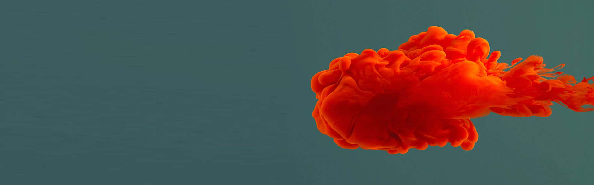 Pinturas y recubrimientos