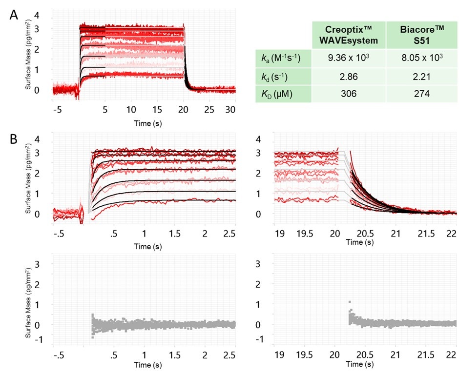 [Figure 4 v2 wp230915-creoptix-next-level-flexibility-drug-discovery.jpg] Figure 4 v2 wp230915-creoptix-next-level-flexibility-drug-discovery.jpg