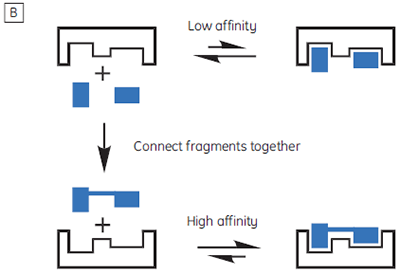 mrk2075_fig01b