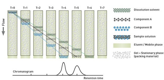 Fig 20.jpg