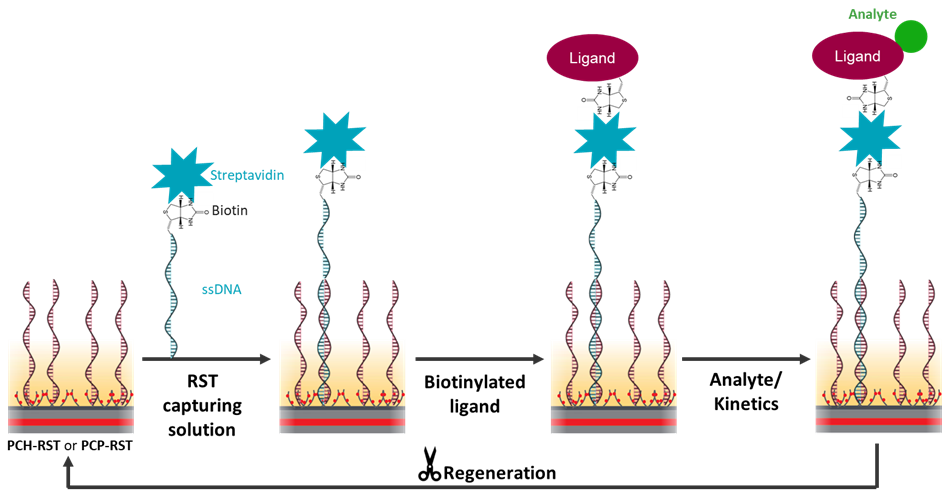 [TN240111-fig1.png] TN240111-fig1.png