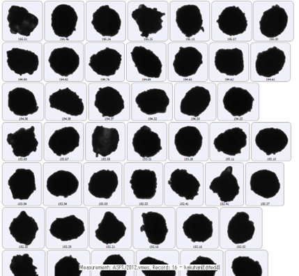 [AN260420-figure3-b.png] AN260420-figure3-b.png