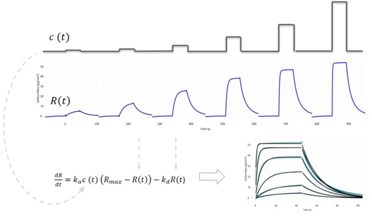 [Figure 1 WP201001-throughput-booster-binding-interaction-screening.jpg] Figure 1 WP201001-throughput-booster-binding-interaction-screening.jpg