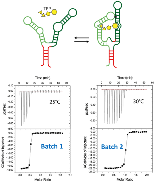 mrk2239_fig05_1