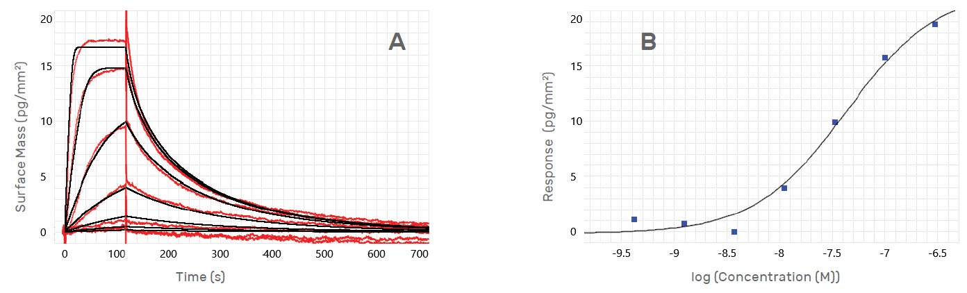 [Figura 1 TN210208-Creoptix-binding-kinetics-GCPR.jpg] Figura 1 TN210208-Creoptix-binding-kinetics-GCPR.jpg