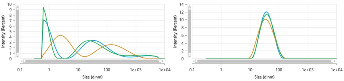 [Figure 4 AN220818-quantum-dots-zetasizer.jpg] Figure 4 AN220818-quantum-dots-zetasizer.jpg