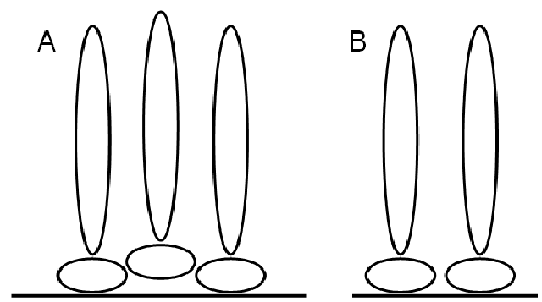 mrk1001 fig2