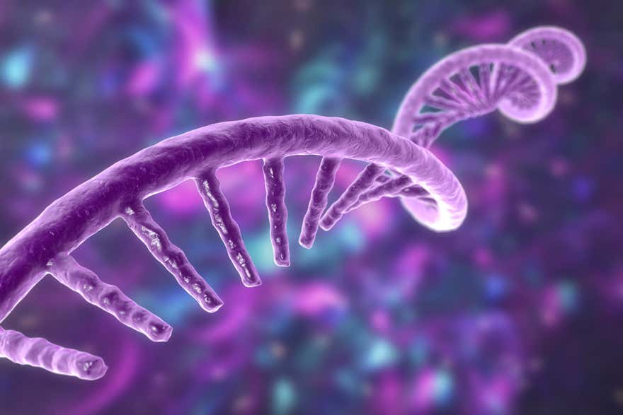 How to run mRNA-LNP measurements on MicroCal PEAQ-DSC