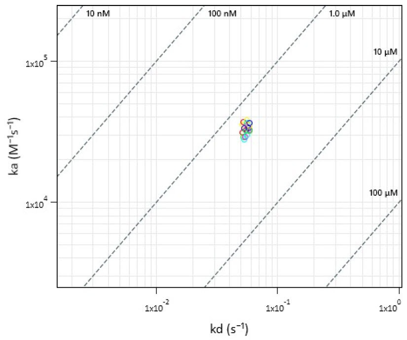 [Figure 5 WP201001-throughput-booster-binding-interaction-screening.jpg] Figure 5 WP201001-throughput-booster-binding-interaction-screening.jpg